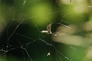 macro_020 